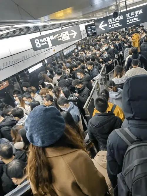 日本针对男性的一些奇葩规定让人感觉男人都是变态狂KAIYUN(图7)