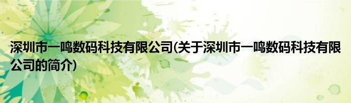 深圳市一鸣数码科技有限公司(关于深圳市一鸣数码科技有限公司的简介)(图1)